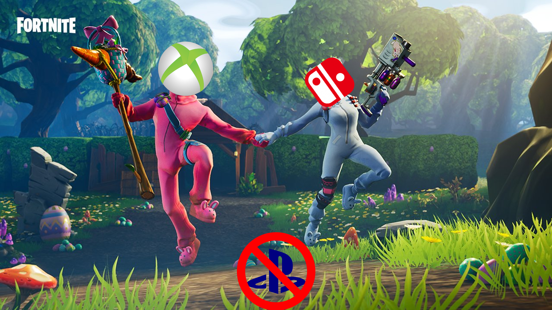 fanaty fortnite zlyatsya na sony iz za problem s krosspleem na nintendo switch xyab - can you play 2 player on fortnite nintendo switch